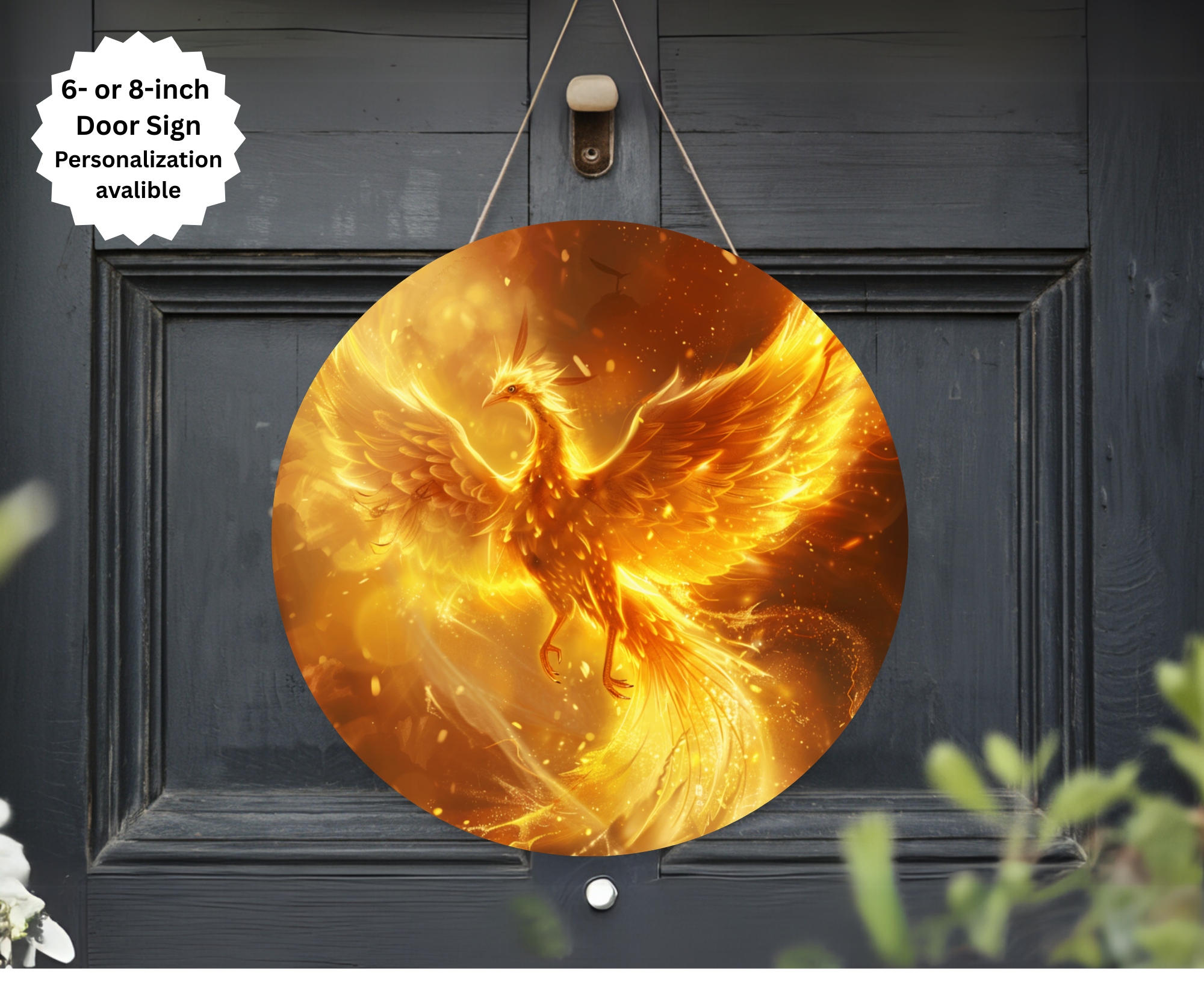Phoenix Door Signs