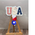 USA Badge Pull